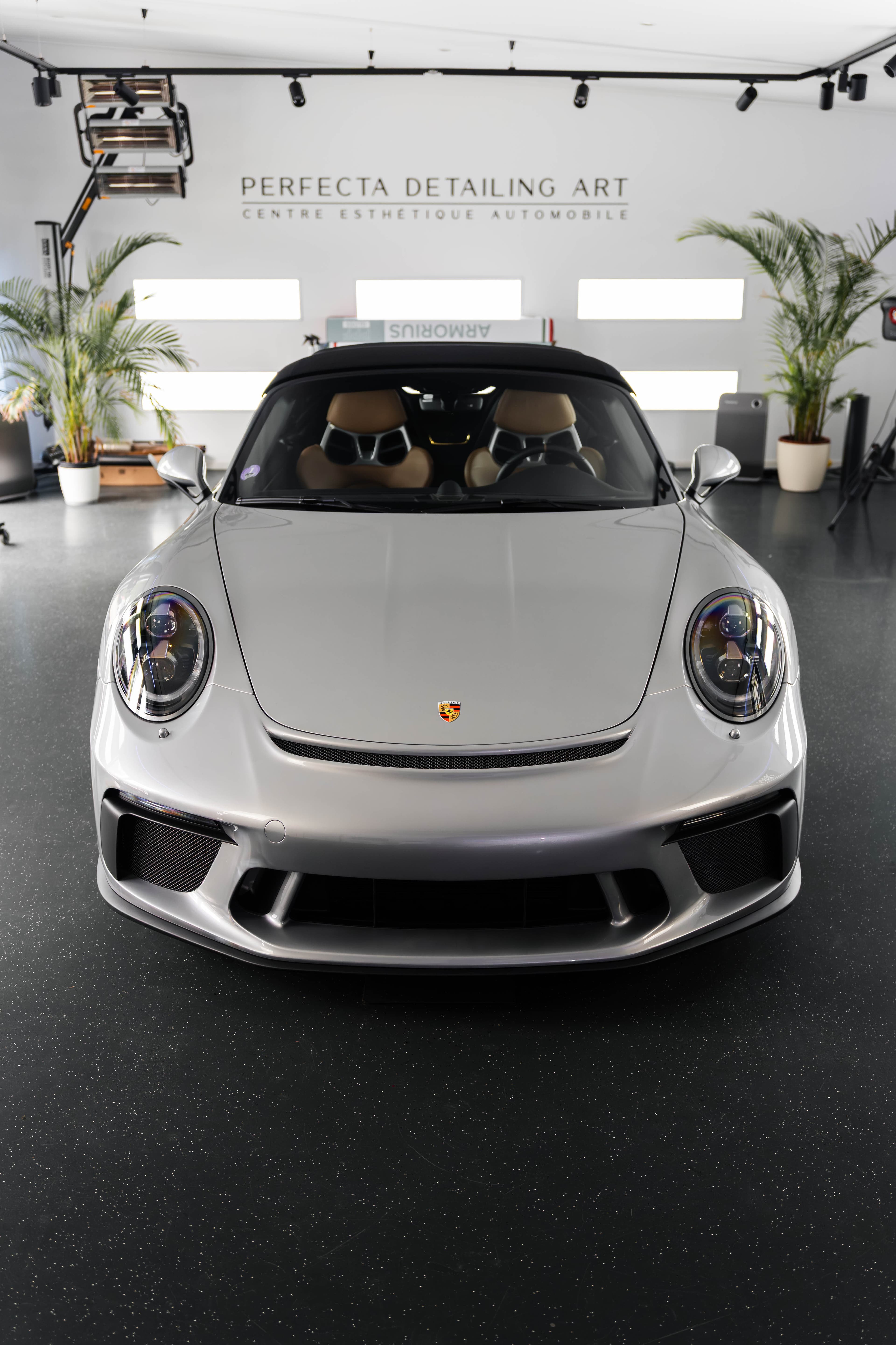 Perfecta Detailing Art